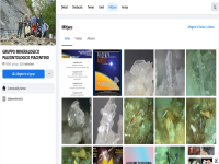 GRUPPO MINERALOGICO PALEONTOLOGICO PIACENTINO