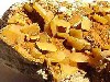 Collecting wulfenite in Austria