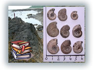 Guides advice Guides advice