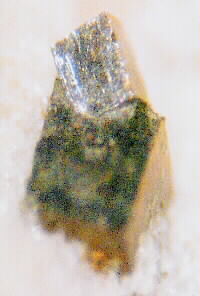 pyrite pyrite